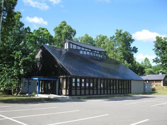 沼田町化石体験館