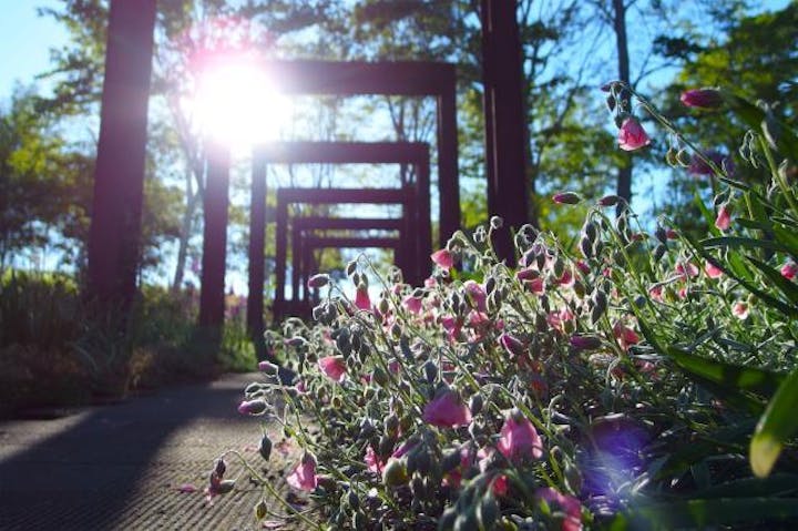 大雪森のガーデン