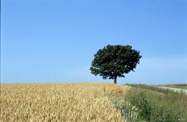 スポットの写真