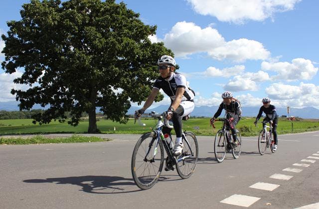 スポットの写真