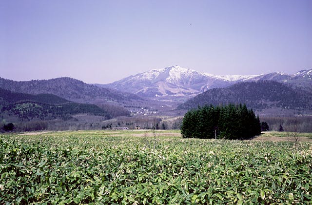 トマム山