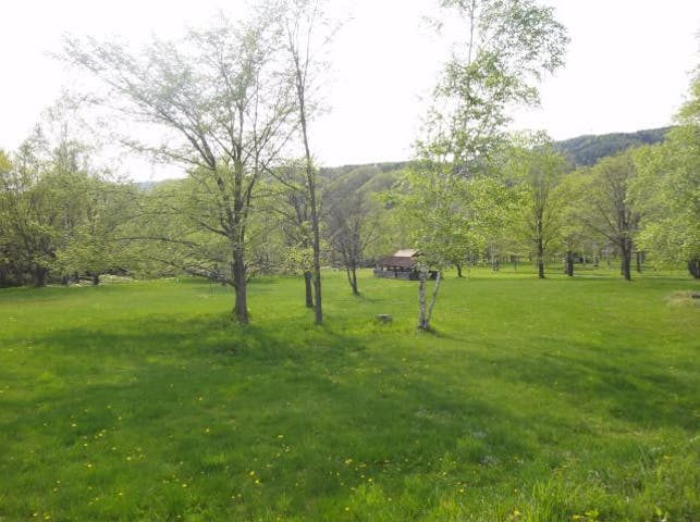 ニニウキャンプ場