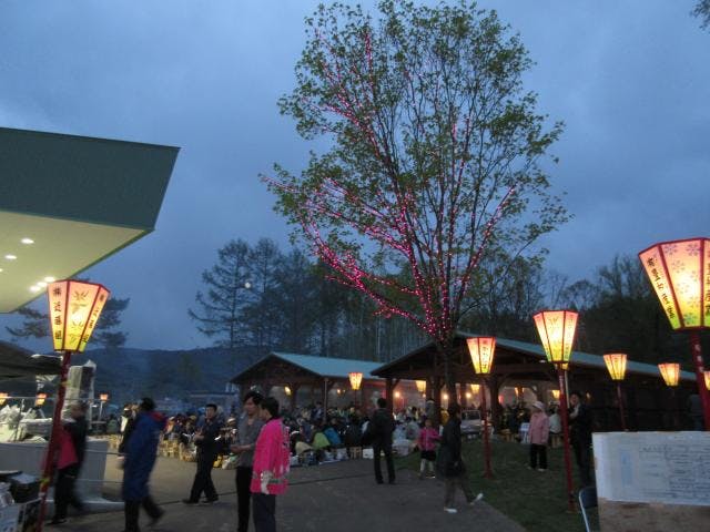 三笠山夜桜まつり（予定）