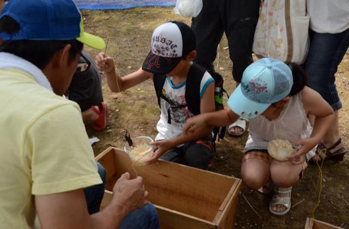 【2021年開催未定】どんとこい！わっさむ夏まつり