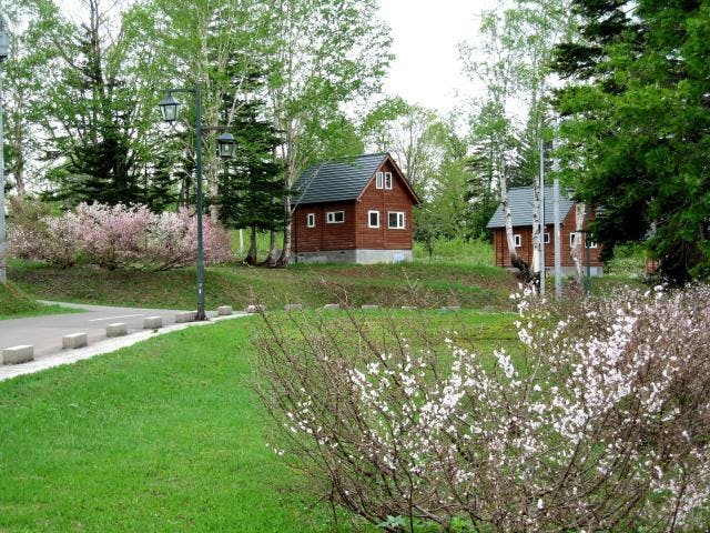 朱鞠内湖畔キャンプ場