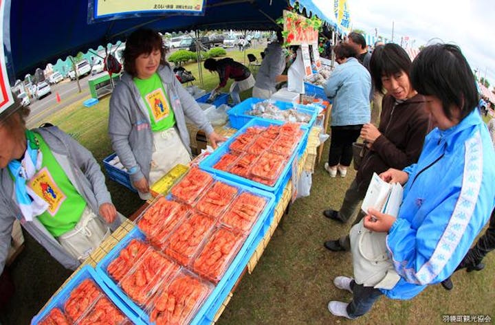 【2021年度開催中止】はぼろ甘エビまつり