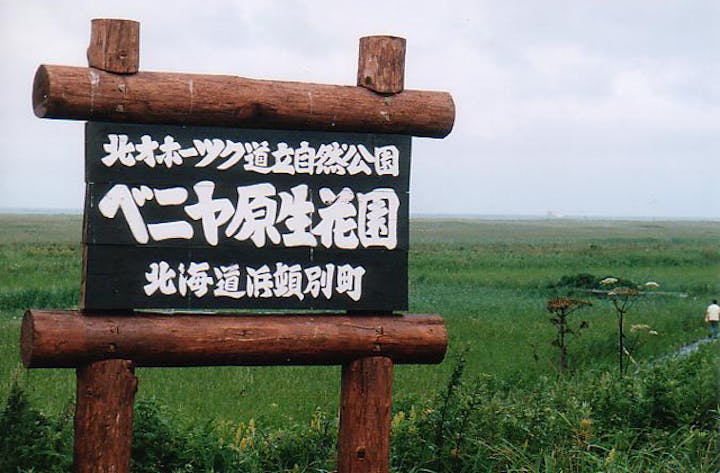 ベニヤ原生花園