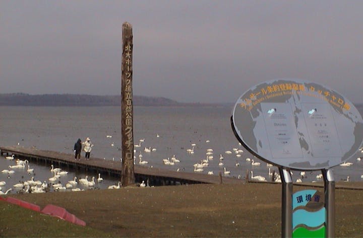 クッチャロ湖畔キャンプ場