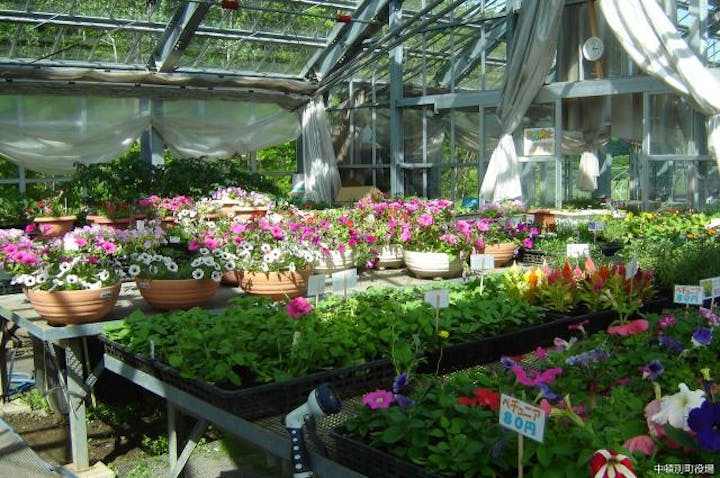 アグリパーク体験農園オガル