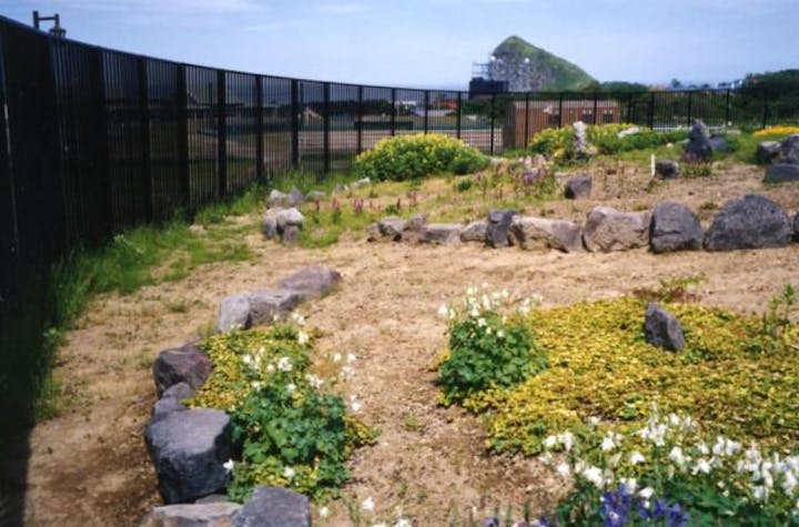 高山植物展示園