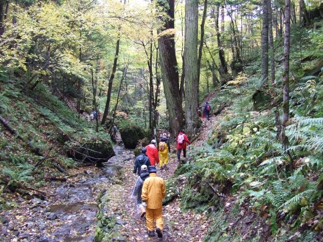 鹿の子沢ハイキングコース