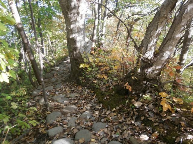明治新山（四十三山）コース