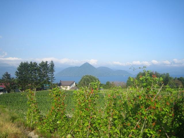 月浦観光果樹園