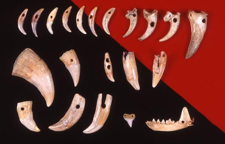 【工事のため休館中(令和3年3月まで)】洞爺湖町史跡入江・高砂貝塚館