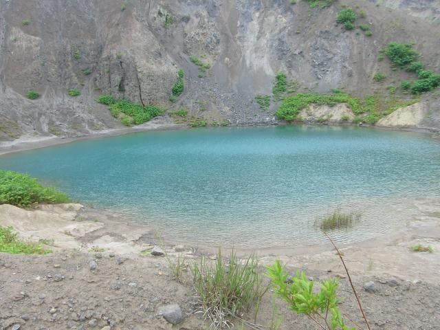 フットパス　金比羅と西山コース