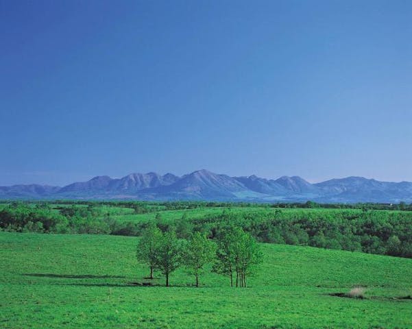 家畜改良センター十勝牧場展望台