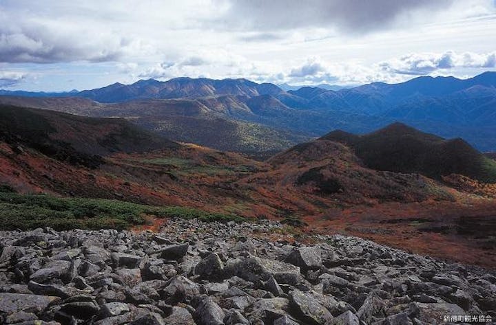 トムラウシ原生林
