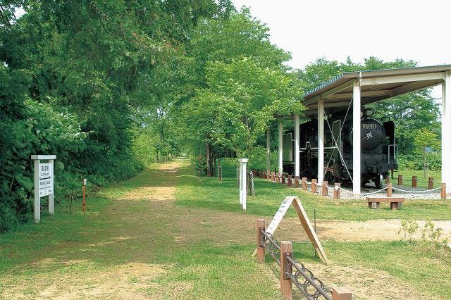 スポットの写真