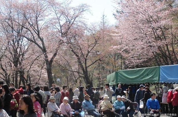 新得神社山桜まつり