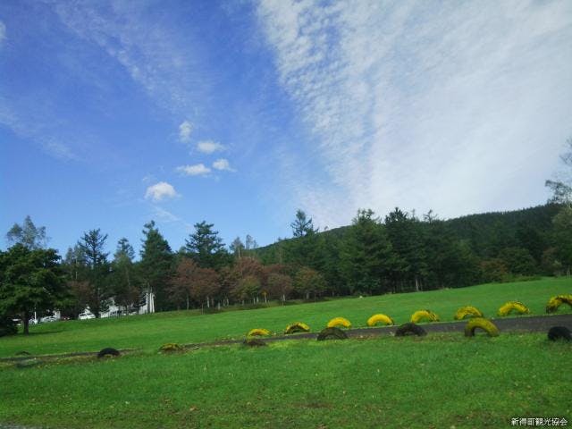 スポットの写真