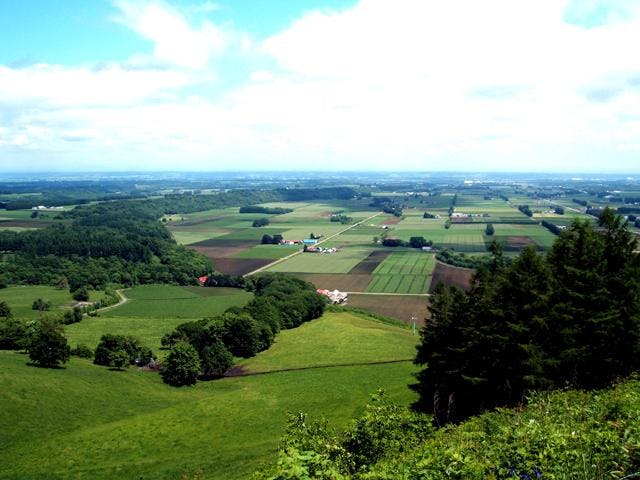 新嵐山スカイパーク展望台