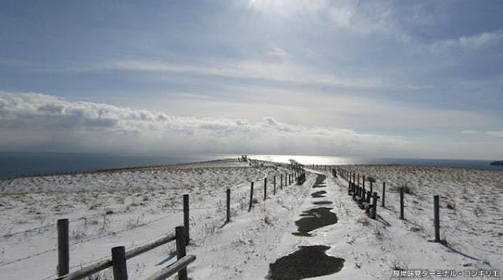 冬のネイチャーウォッチングツアー