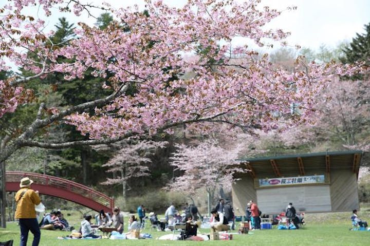 第７２回あっけし桜・牡蠣まつり