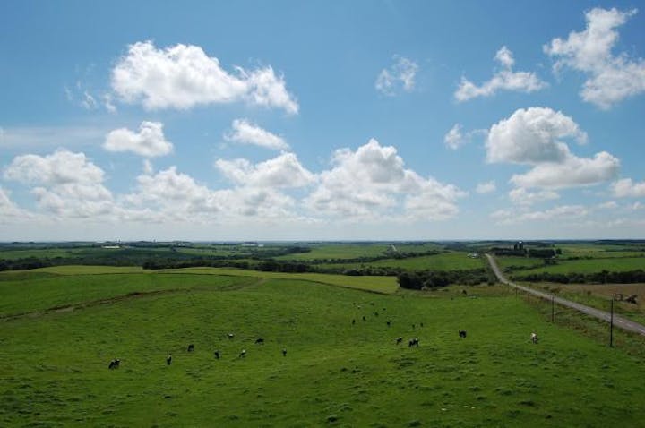 新酪農村展望台