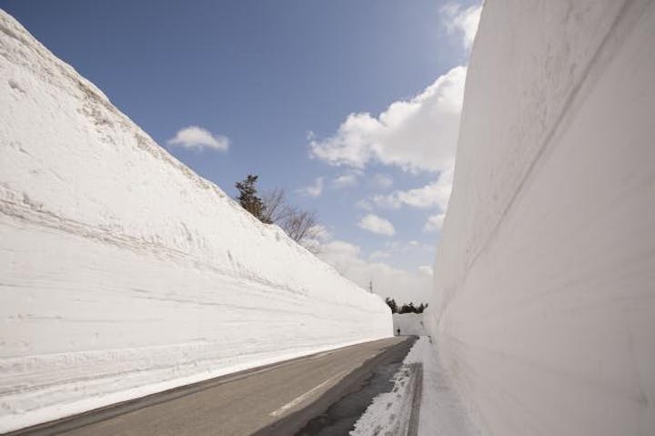 雪の回廊