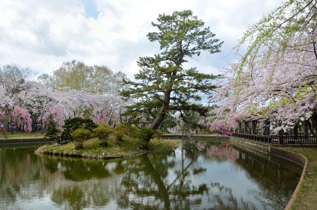 スポットの写真