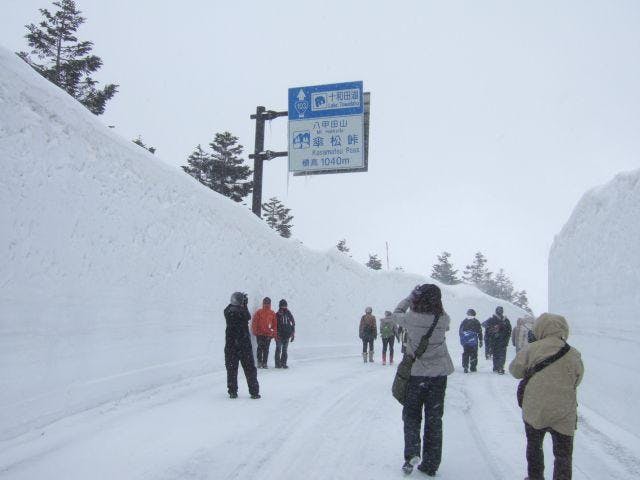 八甲田「雪の回廊と温泉」ウォーク