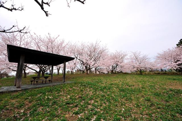 スポットの写真