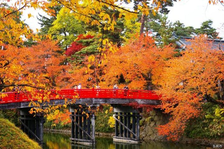 弘前城菊と紅葉まつり