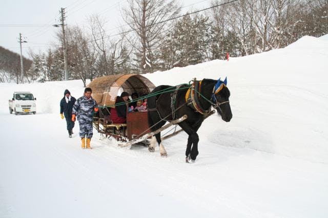 スポットの写真