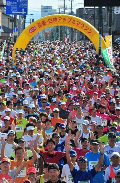 スポットの写真