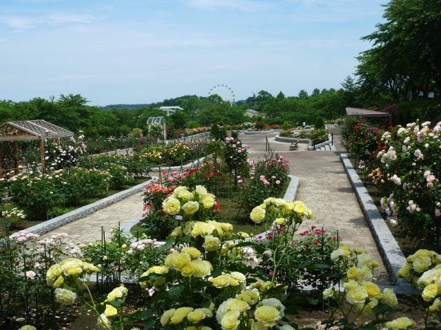 スポットの写真