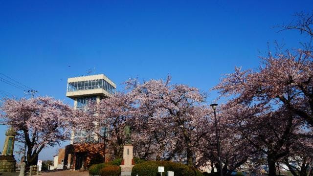 スポットの写真