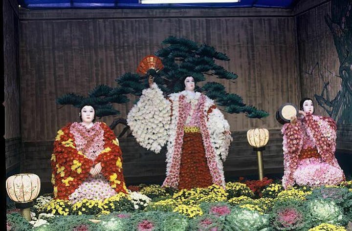 はちのへ菊まつり