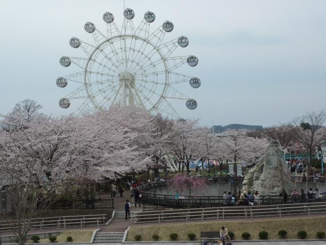 八戸公園こどもの国 アソビュー