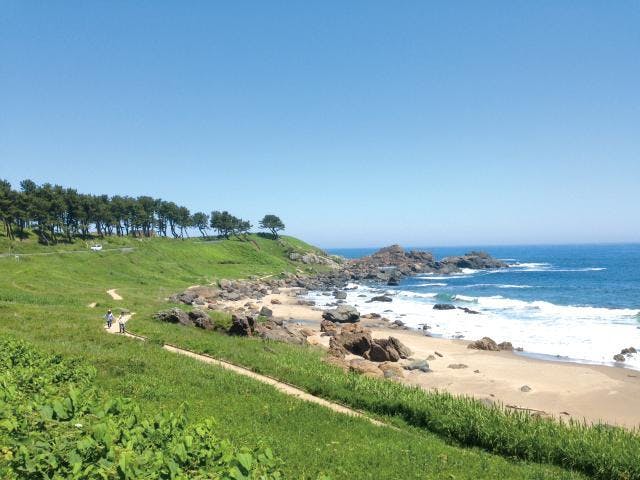みちのく潮風トレイル（種差海岸遊歩道）