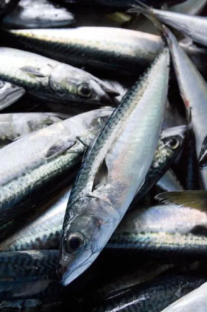 八戸 女子会 の遊び 体験 アソビュー