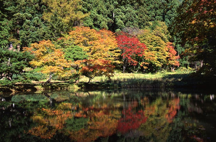 黒森山浄仙寺の紅葉