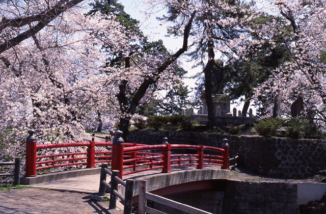 スポットの写真