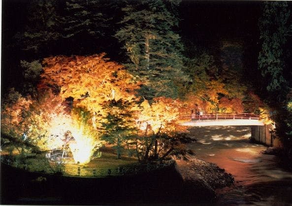 スポットの写真