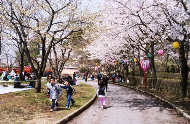 スポットの写真