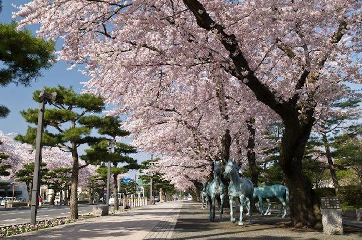 令和４年度 稲生川上水164周年記念 十和田市春まつり