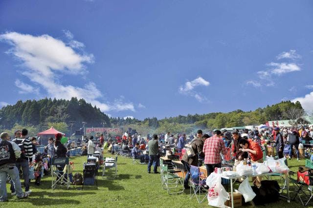 スポットの写真