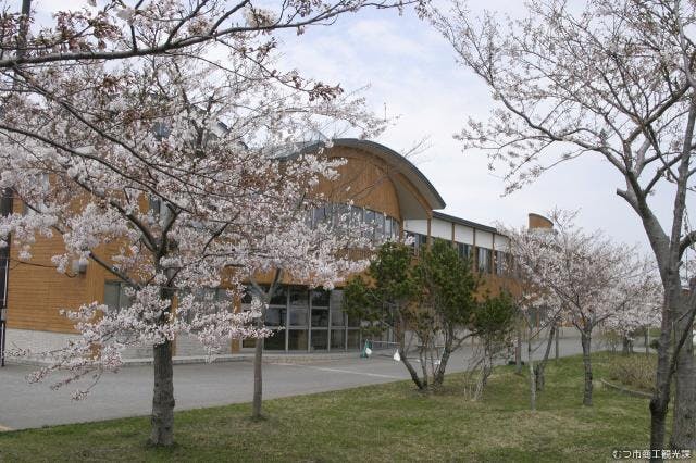 スポットの写真