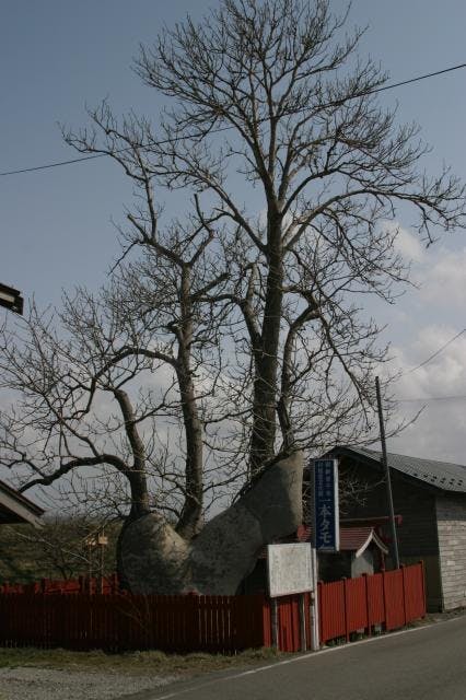 スポットの写真