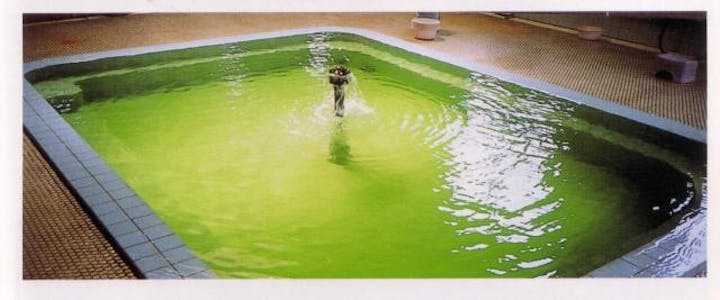 みどりの天然温泉　新屋温泉